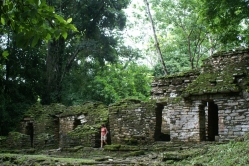 Dschungel, Yaxchilan, Bonampak und Palenque